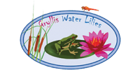 Gryllis Water Lilies Gryllis Water Lilies